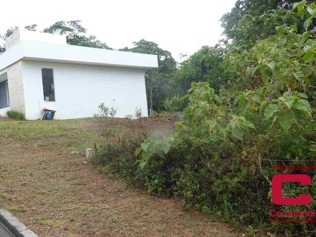 Terreno para Venda em Camaçari - 4